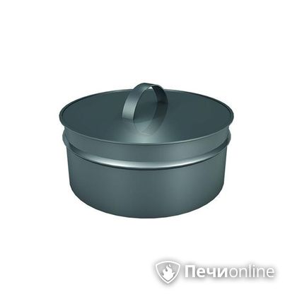 Заглушки Теплов и Сухов Заглушка ревизии Термо-Р 304 0.5 D300(200) в Астане